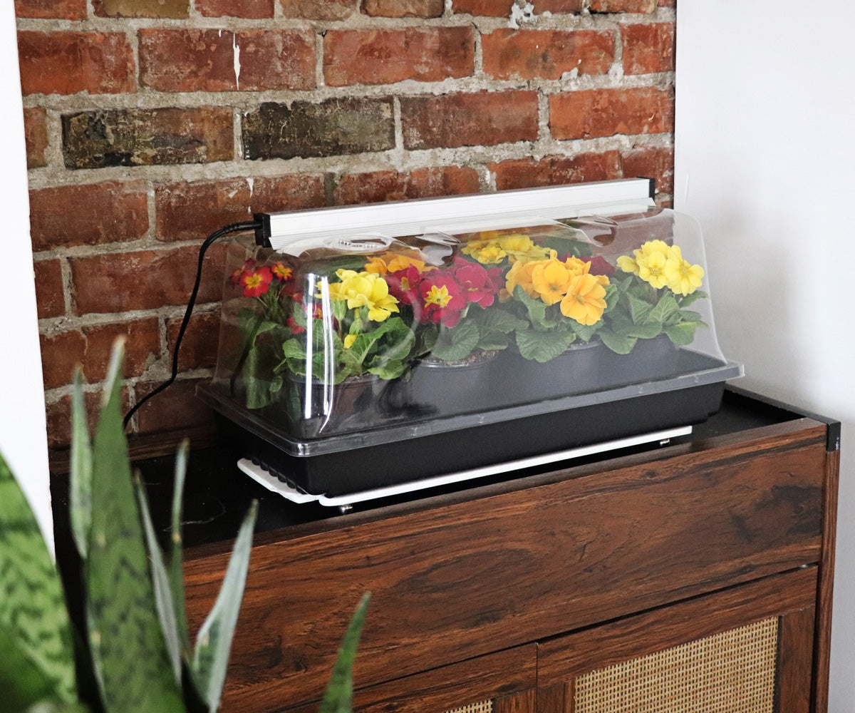 SunBlaster LED Mini Greenhouse Kit