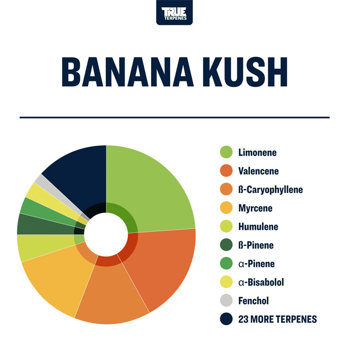 True Terpenes Banana Kush Profile 4oz
