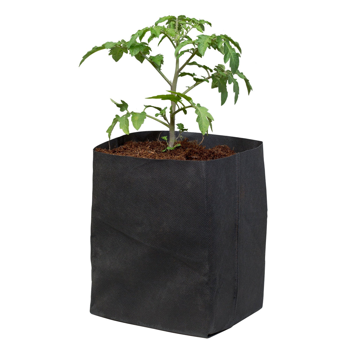Botanicare® CocoPro™ Coir Bag #3 14ct - 2.4gal