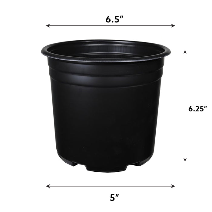 1 Gal Thermoformed Plastic Pot