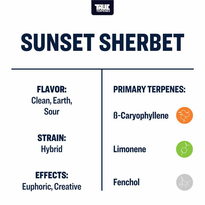 True Terpenes Sunset Sherbet Profile 1oz