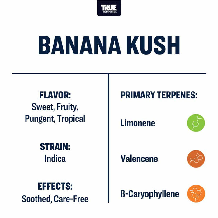 True Terpenes Banana Kush Profile 4oz