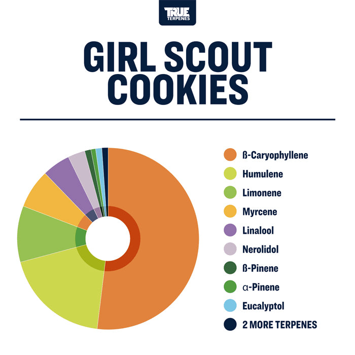True Terpenes Girl Scout Cookies Profile 4oz