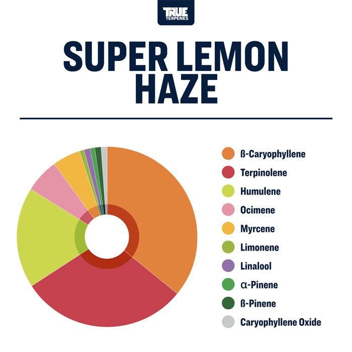 True Terpenes Super Lemon Haze Profile 4oz