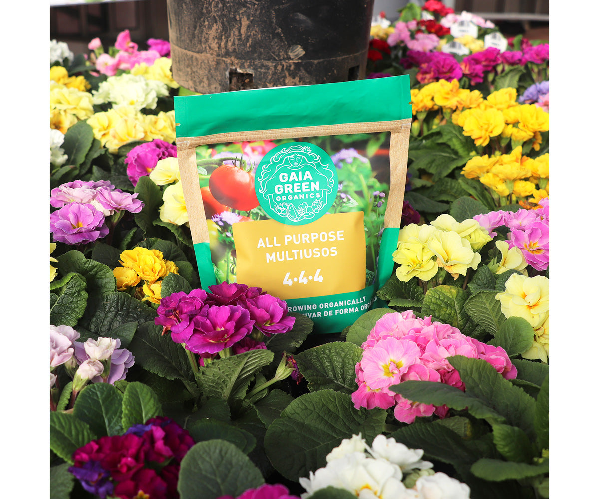 Gaia Green Organics All Purpose, 2 kg Pouch