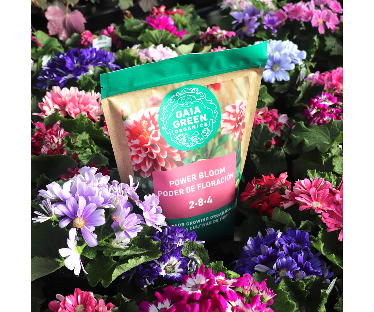 Gaia Green Organics Power Bloom, 2 kg Pouch