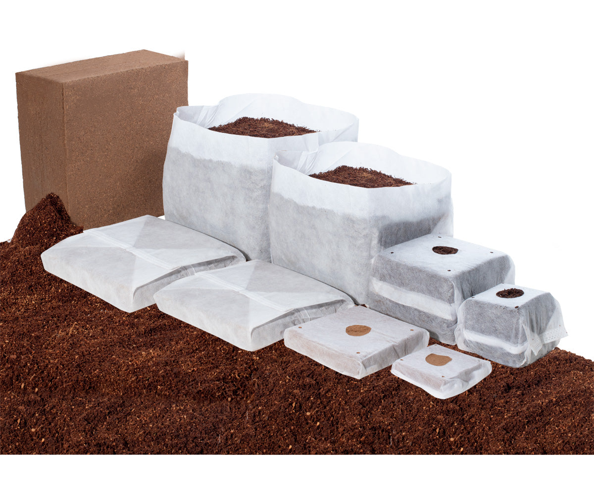GROW!T Commercial Coco Coir RapidRIZE Blocks X8, case of 20