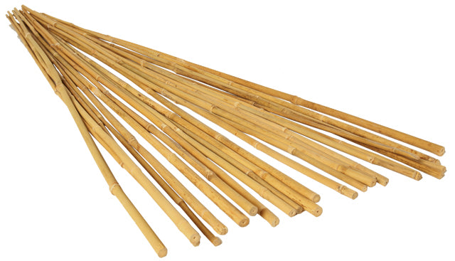GROW!T 6′ Bamboo Stakes, Natural, pack of 25