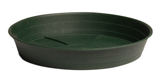 Premium Green Saucer, 12″, pack of 10