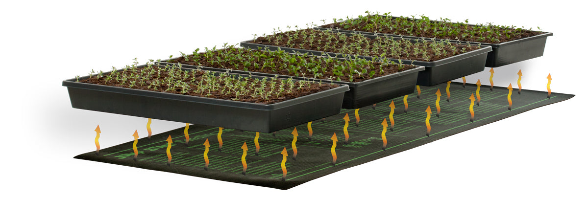 Jump Start Seedling Heat Mat, 48″ x 20″, 107W