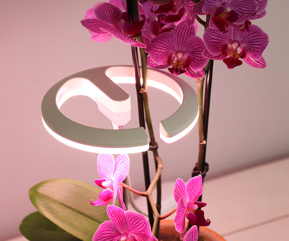 SunBlaster Halo 360 LED Plant Light, w/ USB Adaptor and Timer