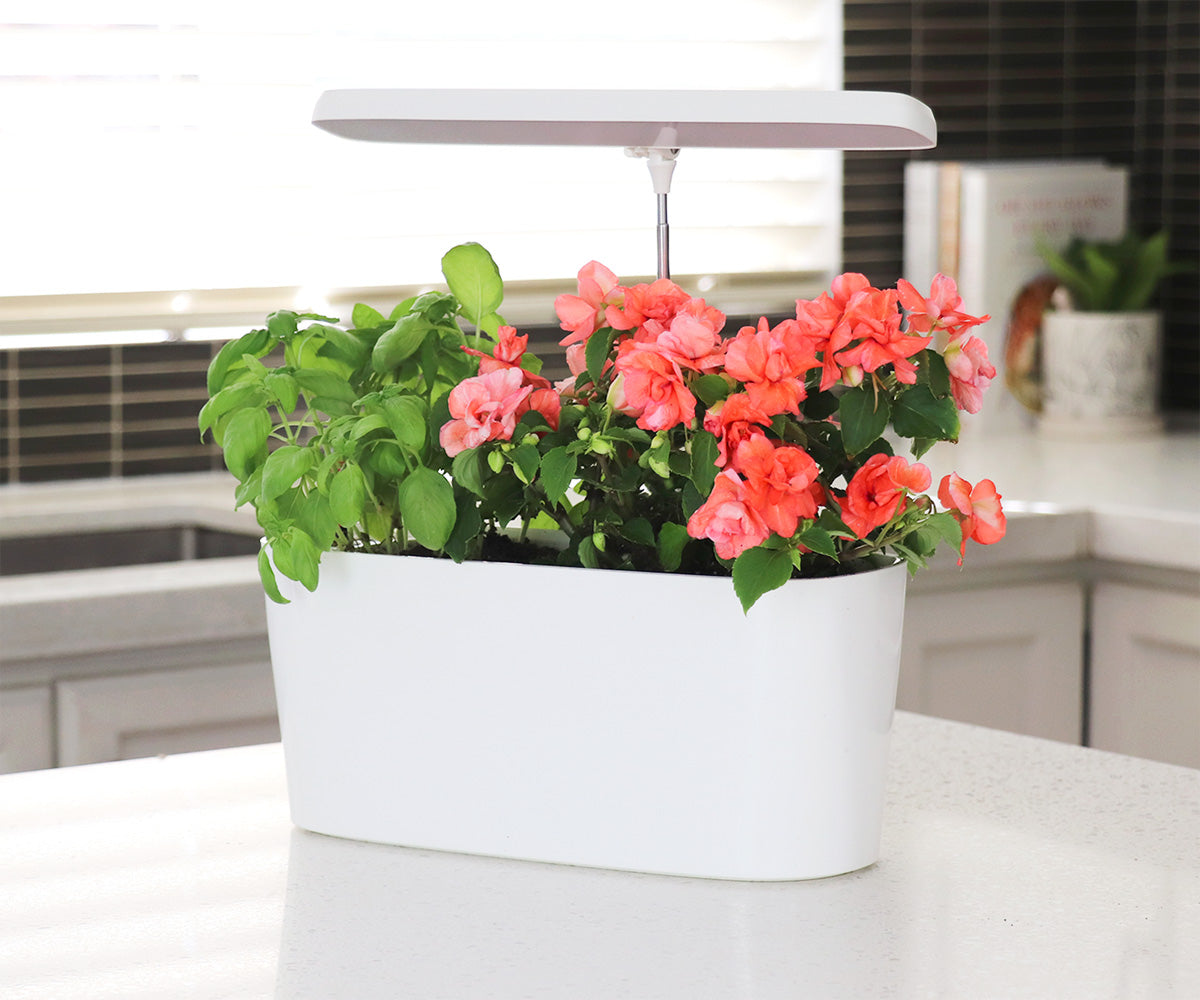 SunBlaster Nano Growlight Garden, w/ LED Grow Light, Timer and Adapter