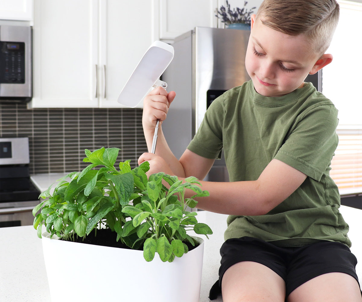 SunBlaster Nano Growlight Garden, w/ LED Grow Light, Timer and Adapter