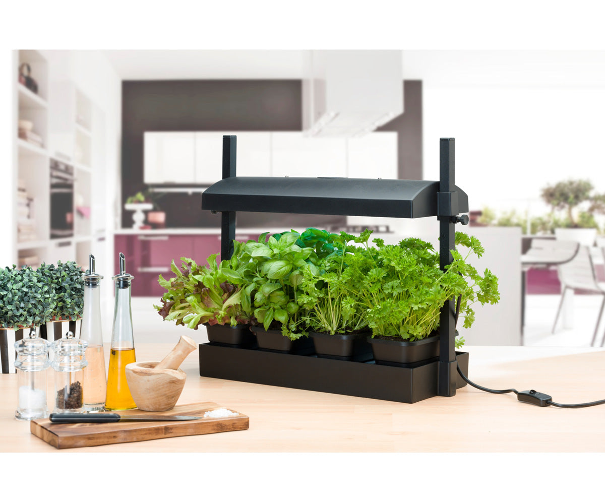 SunBlaster Micro T5 Grow Light Garden, Black