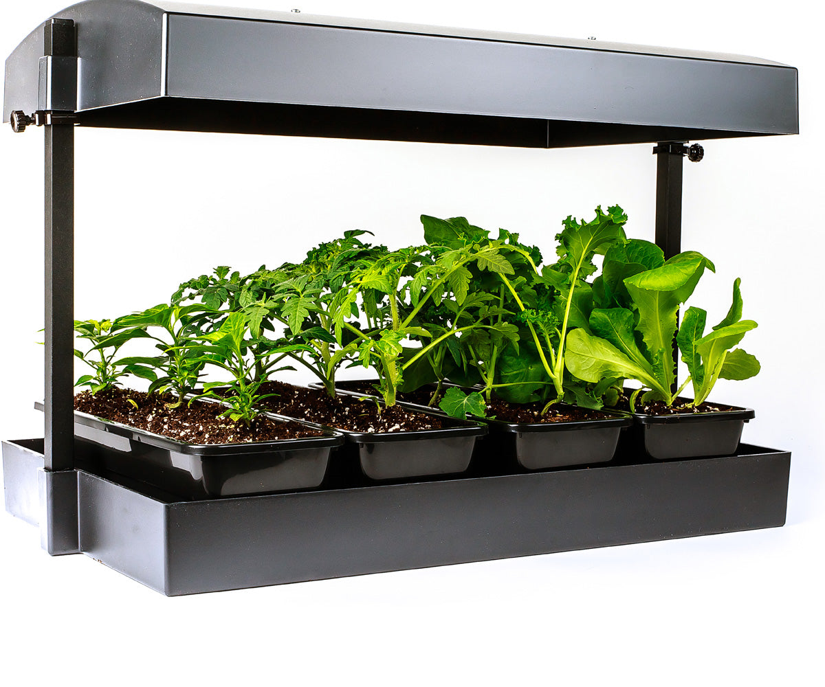 SunBlaster T5 Grow Light Garden, Black