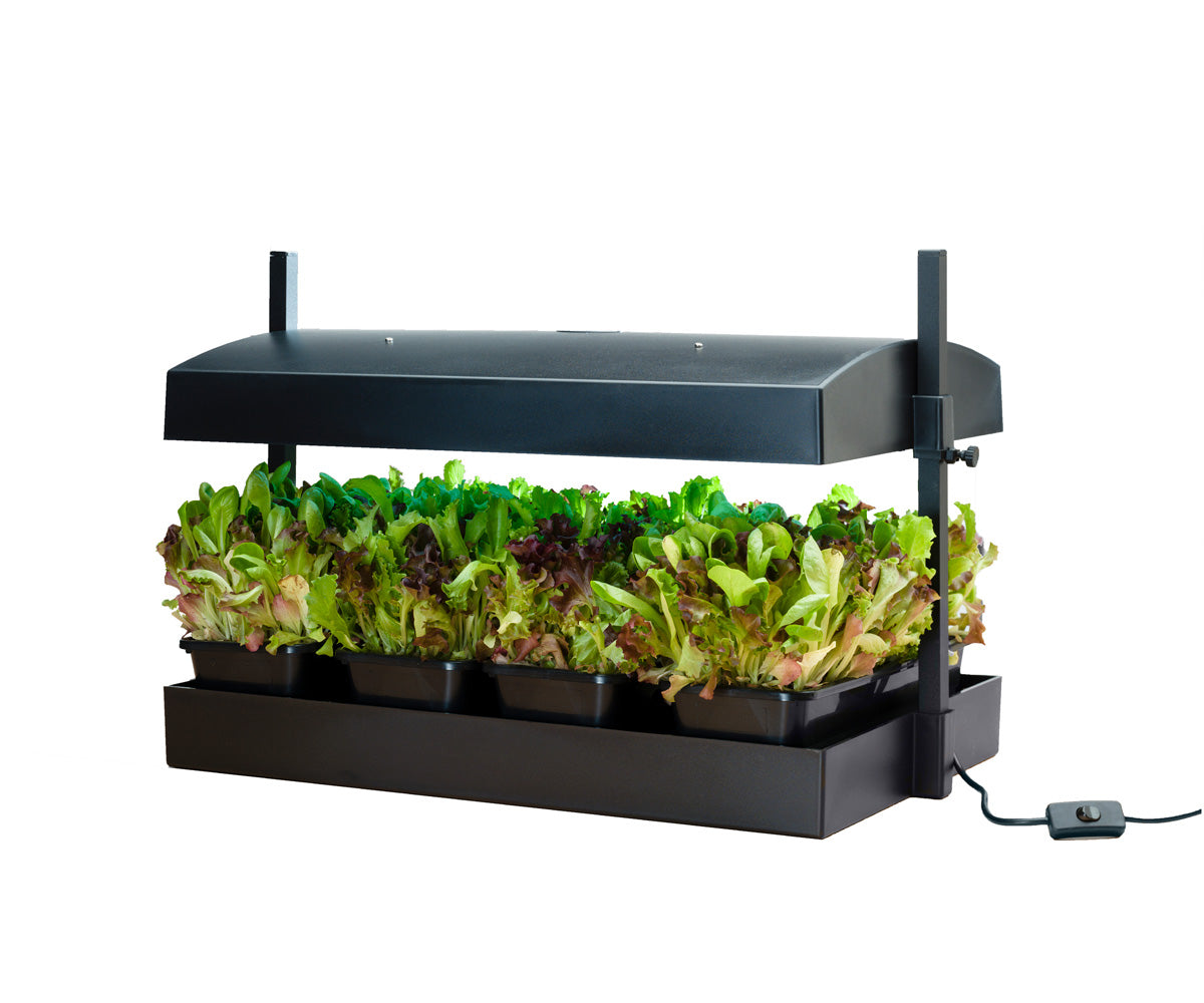 SunBlaster T5 Grow Light Garden, Black