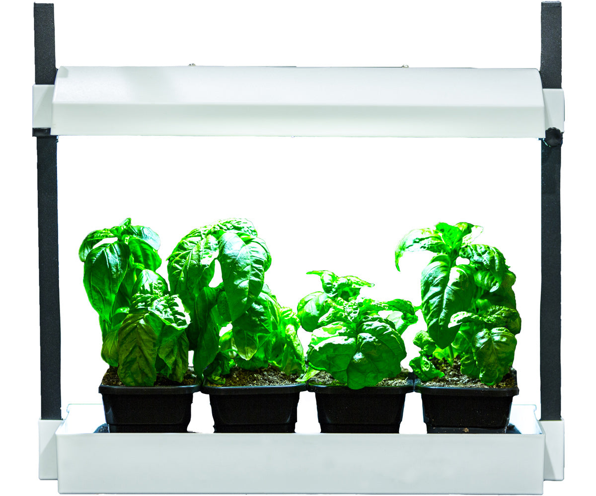 SunBlaster Micro LED Grow Light Garden, White
