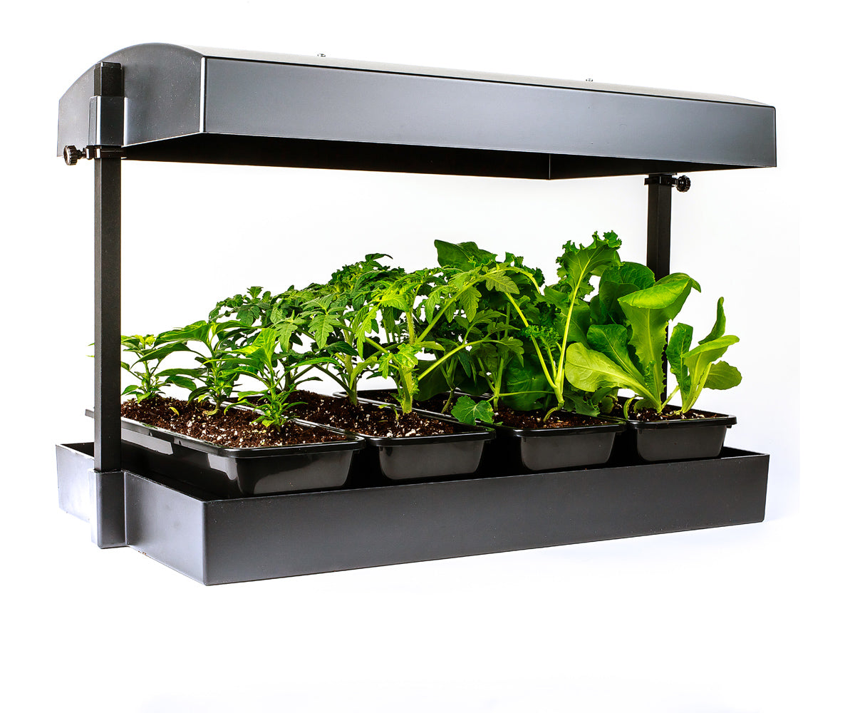 SunBlaster LED Grow Light Garden, Black