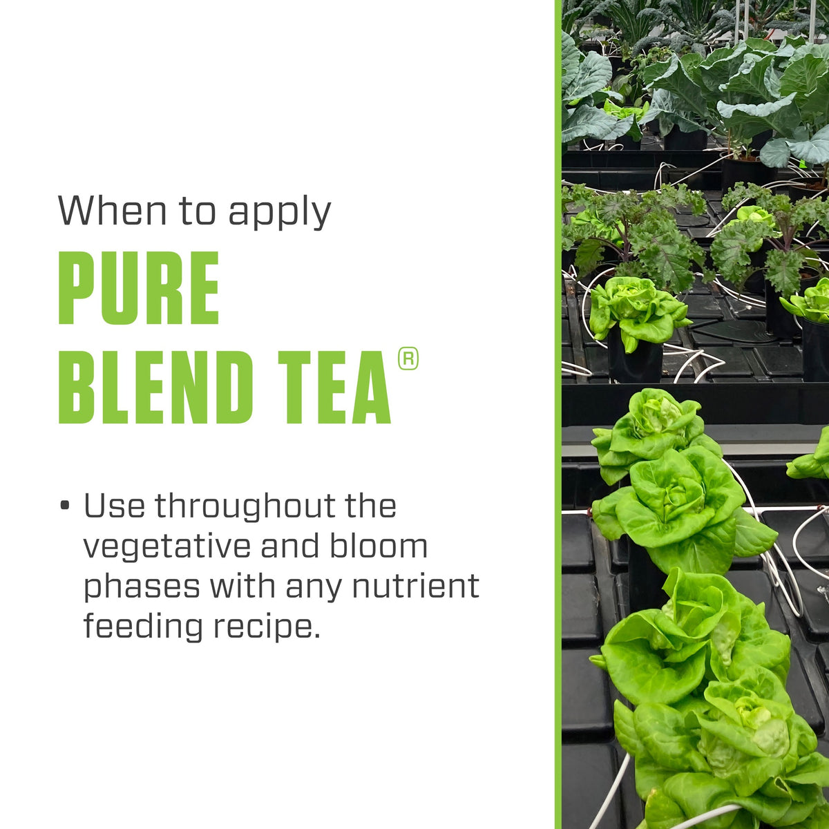 Botanicare® Pure Blend® Tea 0.5-0.5-1 5gal