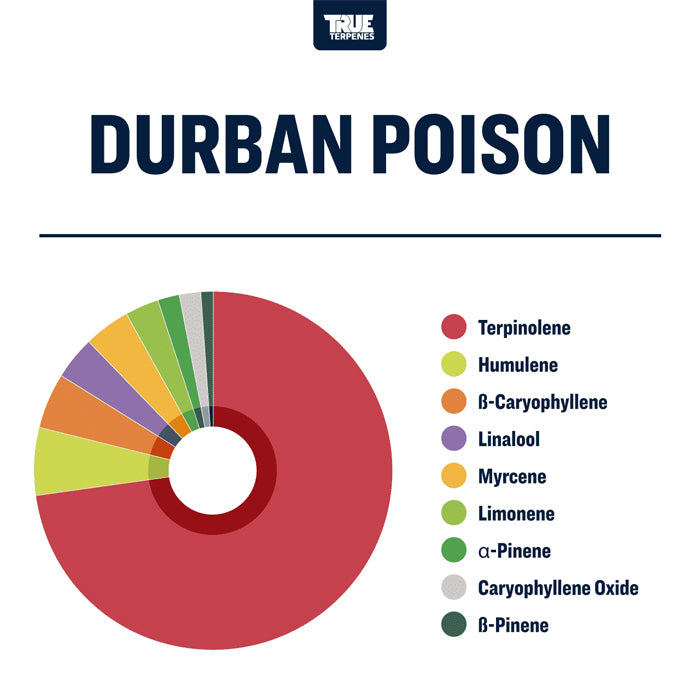 True Terpenes Durban Poison Profile 4oz