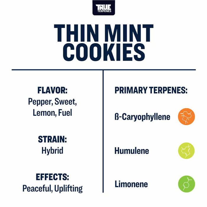 True Terpenes Thin Mint Cookies Profile 15ml