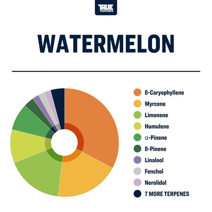 True Terpenes Watermelon Profile 4oz