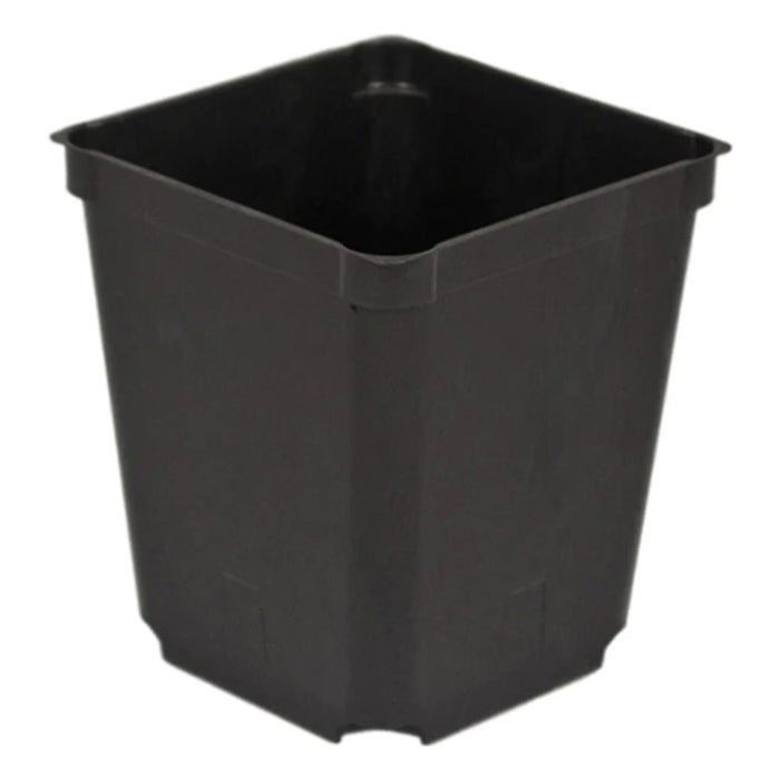 3.5" Square Black Injection Pot