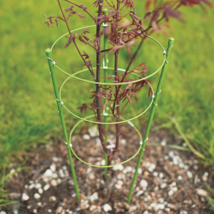 Grow1 Foldable Plant Support Cage 6'