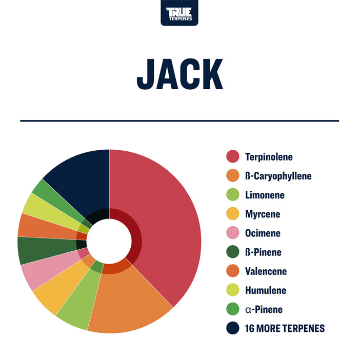 True Terpenes Jack Herrer Profile Precision 15ml