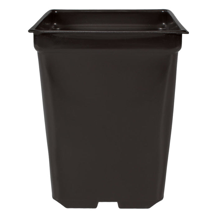 Square Pot 2qt 5.5in x 5.5in x 6in