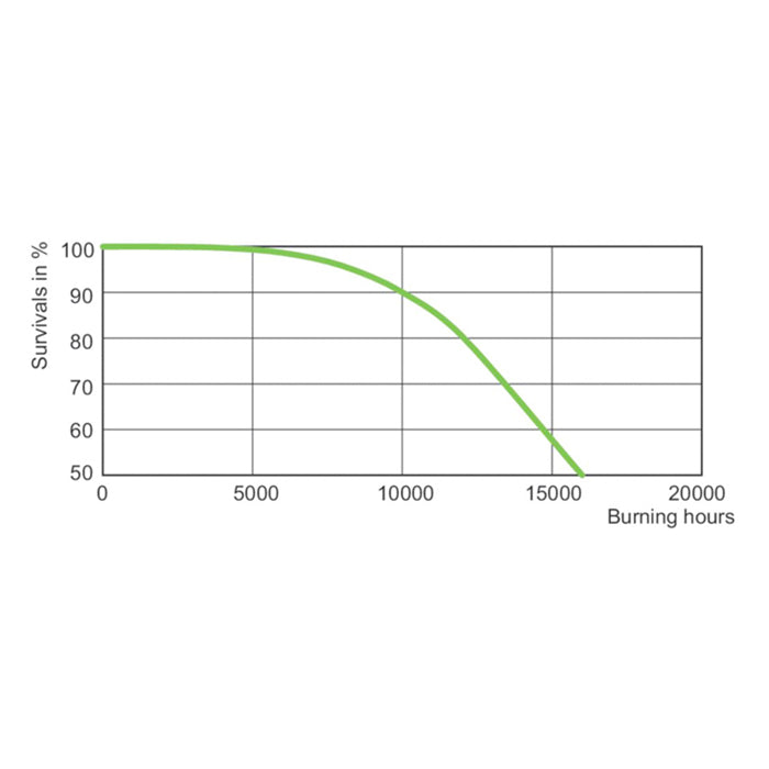 Philips Master GP DE 1000W Lamp