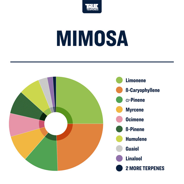 True Terpenes Mimosa Profile 1oz
