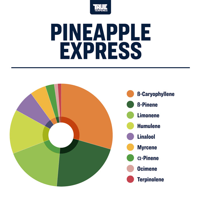 True Terpenes Pineapple Express Profile 4oz