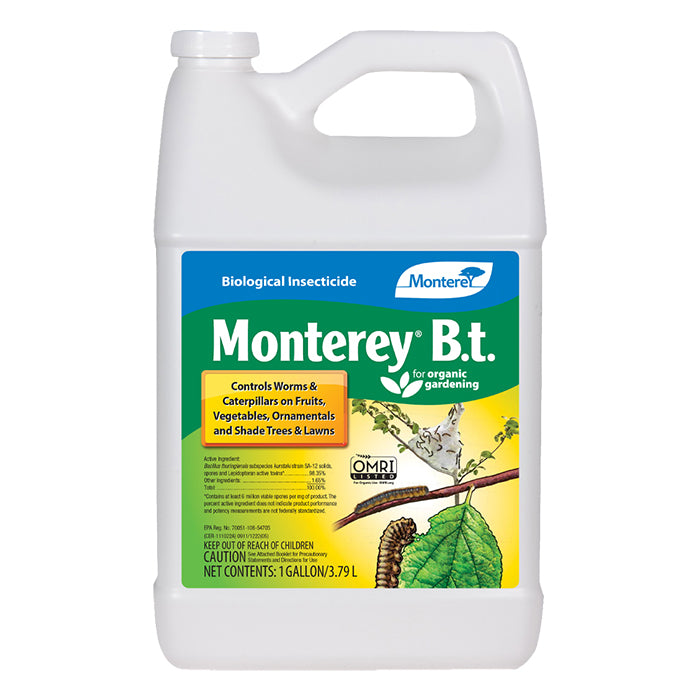 Monterey B.t. 1 Gallon