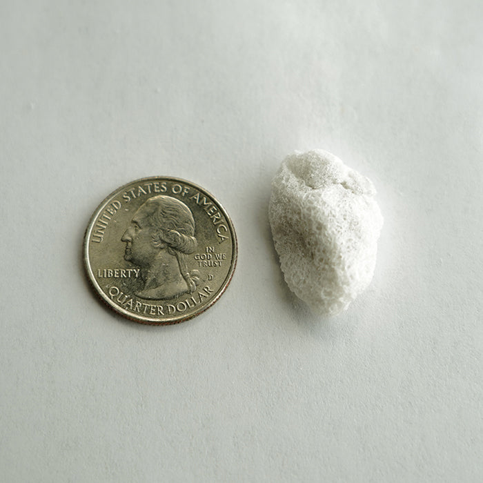 Perlite #4 Large 4 cu ft - West Cost Item