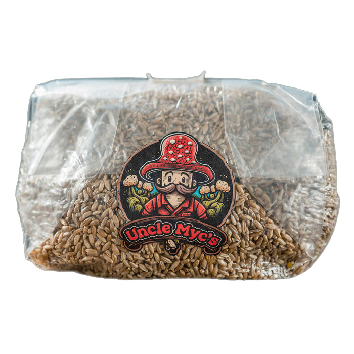 Uncle Myc's Rye Berry Grain 100% Sterilized Mushroom Spawn Bag 4lbs