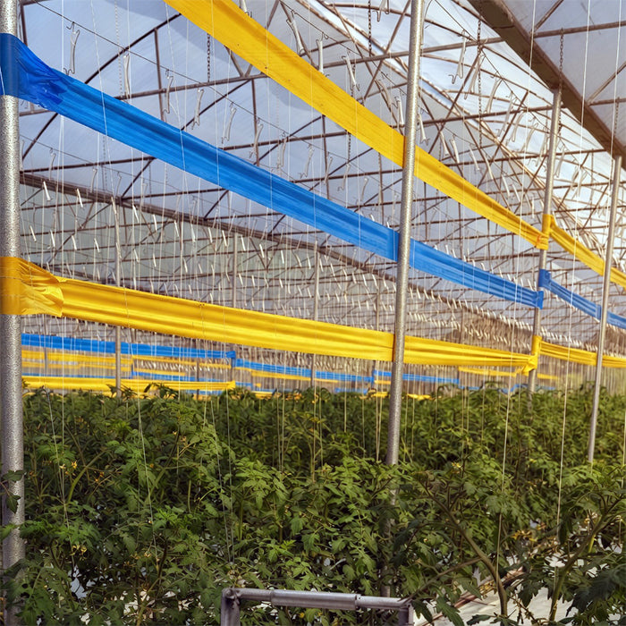 GROW1 Sticky Tape Roll Double-Sided Blue (6in x 328ft)
