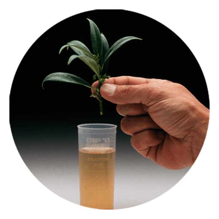 Dip 'N' Grow Liquid Rooting Concentrate 2 fl oz