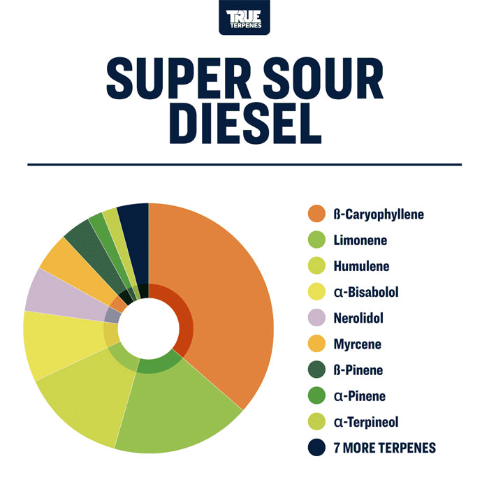 True Terpenes Super Sour Diesel 4oz