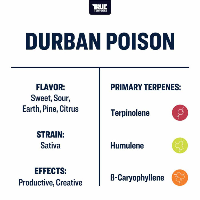True Terpenes Durban Poison Profile 4oz
