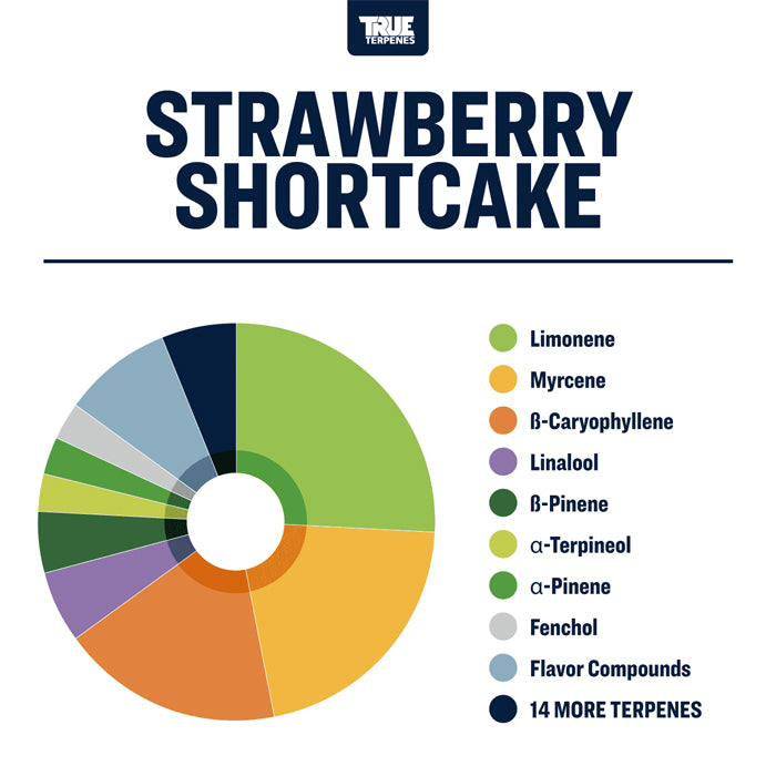 True Terpenes Strawberry Shortcake Profile Infused 15ml