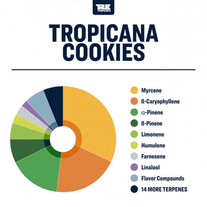 True Terpenes Tropicana Cookies Profile Infused 15ml