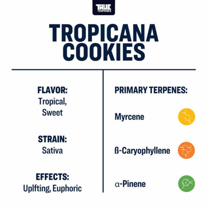 True Terpenes Tropicana Cookies Profile Infused 15ml
