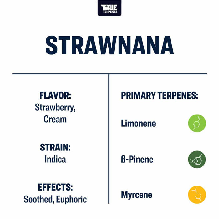 True Terpenes Strawnana Profile 4oz
