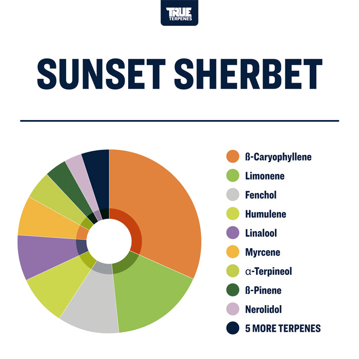 True Terpenes Sunset Sherbet Profile 1oz